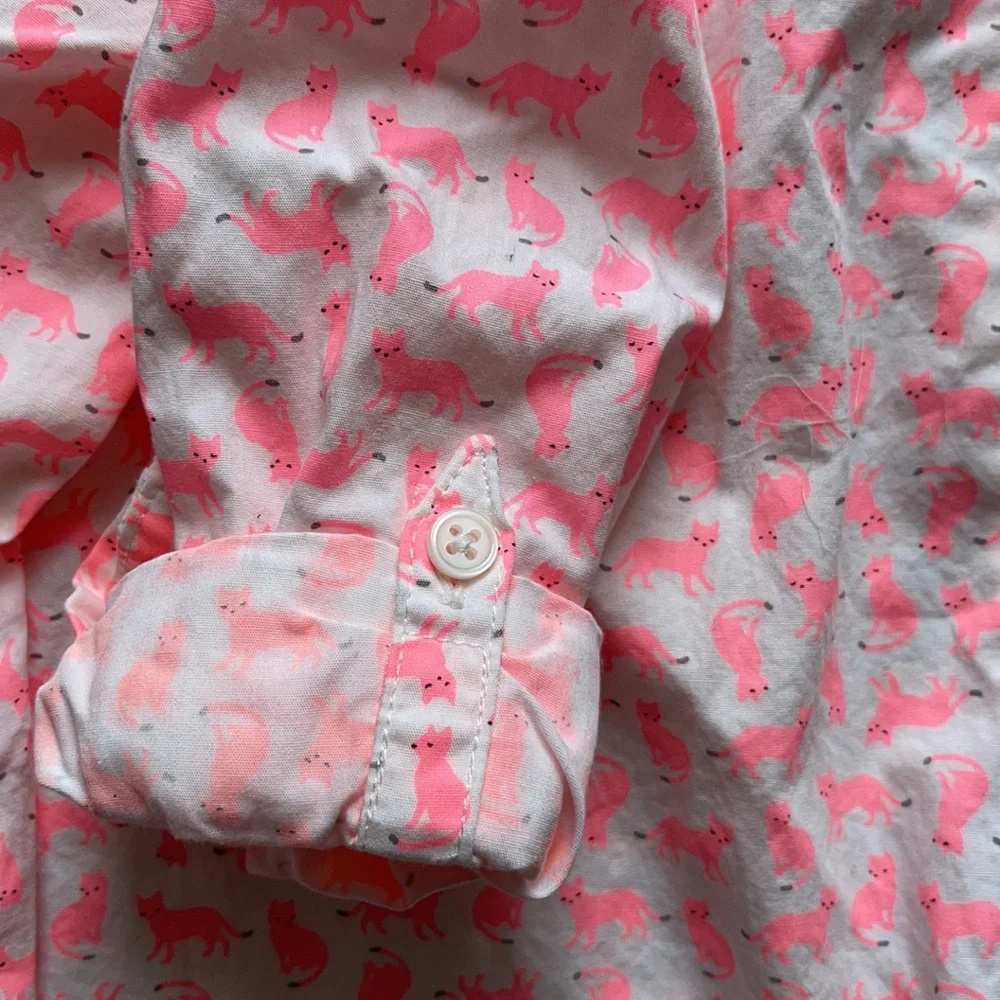 Carter’s Cat shirt dress 3T
